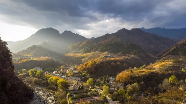 西安山水美树图片