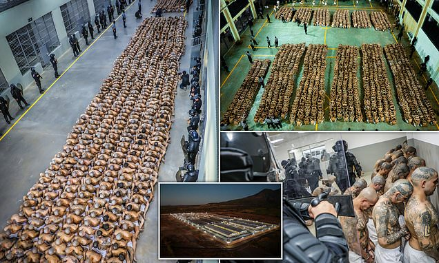 100名囚犯共享2个厕所坑位,美洲最大监狱有多惨?