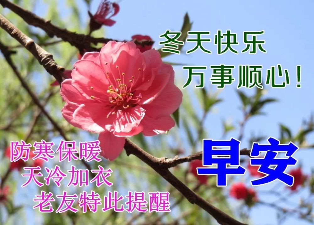 3月17日早上好动态表情图片大全,早上好动图美图大全!_腾讯新闻