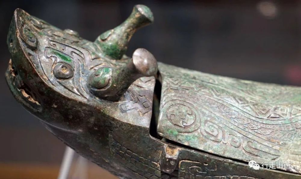 汾河鳄不仅是传说真实印证在吕梁万山之中弹丸小县