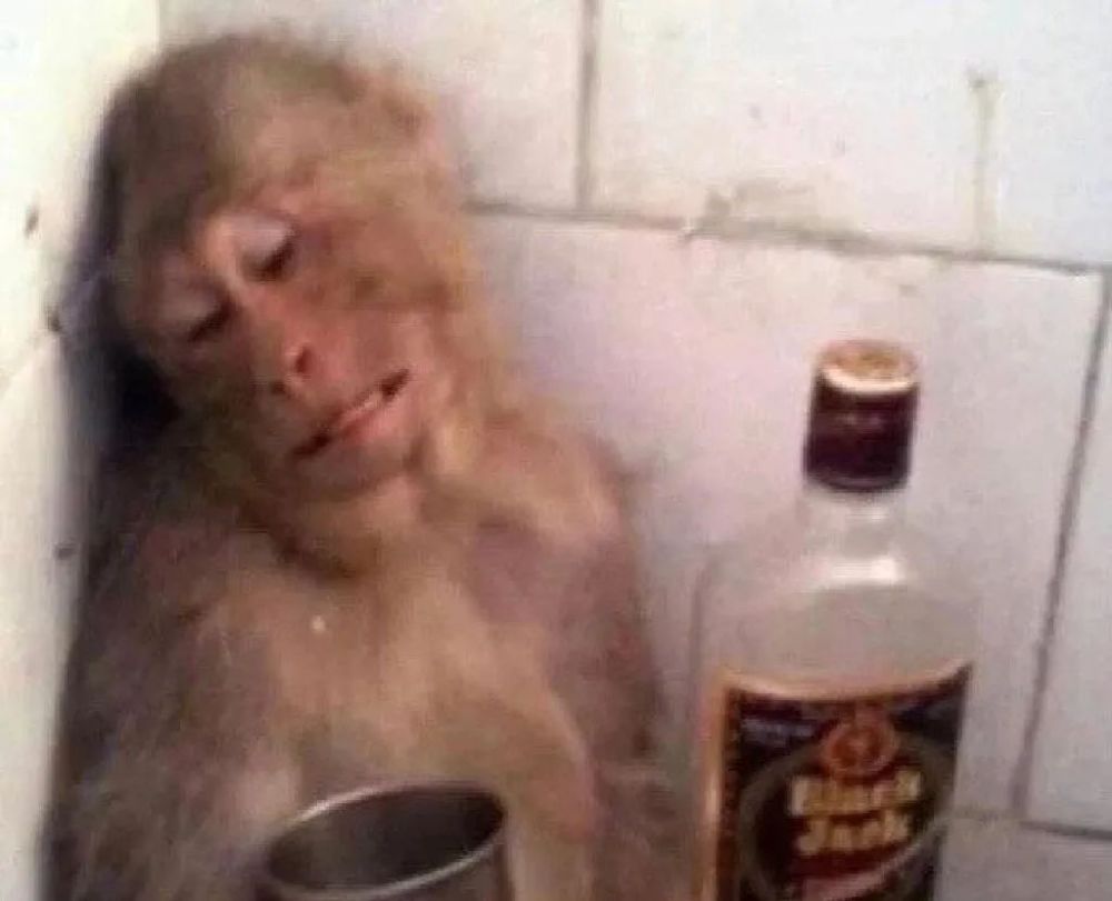 你们爱用的猴子表情包,演的全是我的精神状态_腾讯新闻