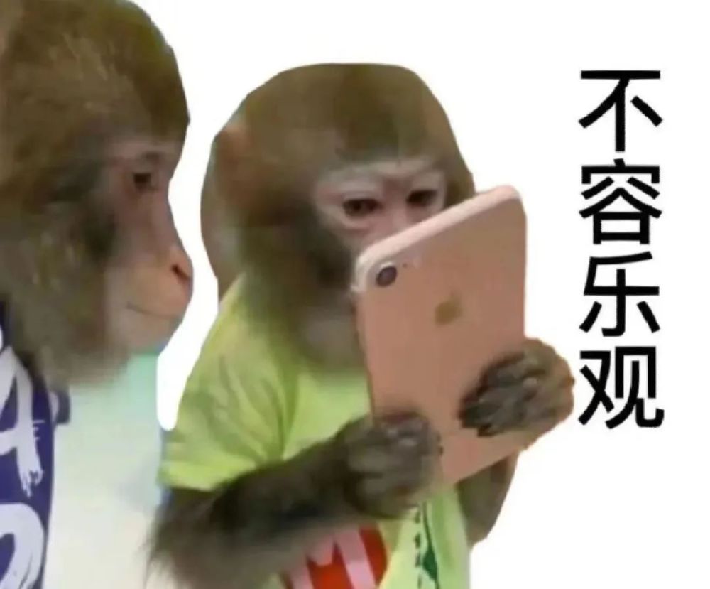 你们爱用的猴子表情包,演的全是我的精神状态_腾讯新闻