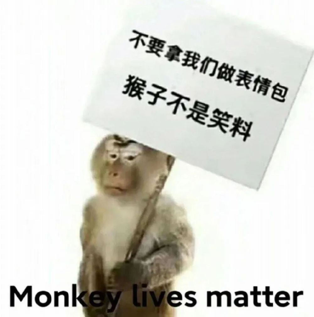 你们爱用的猴子表情包,演的全是我的精神状态_腾讯新闻