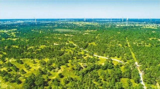 厚植"美丽辽宁"的生态底色_腾讯新闻