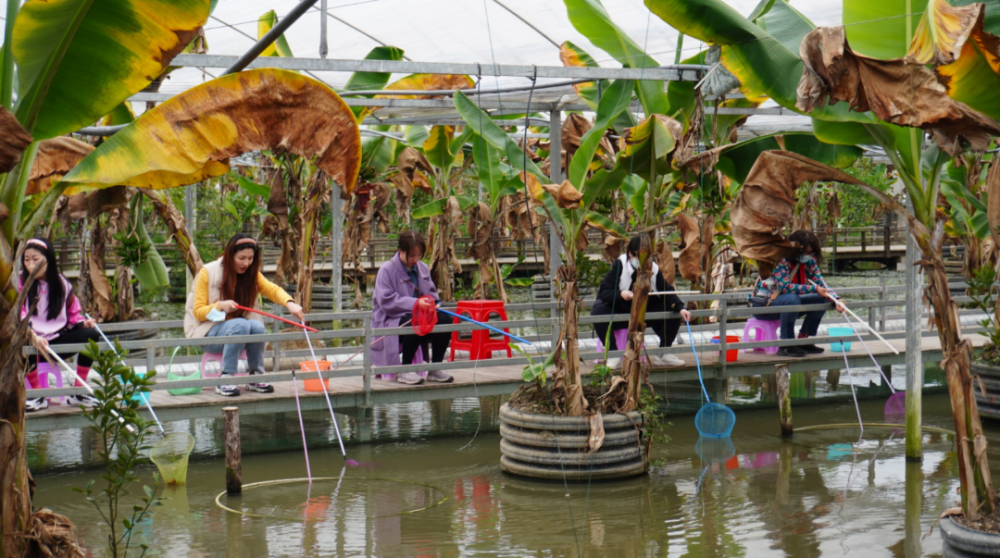 除了零售还能垂钓小龙虾错峰上市啦