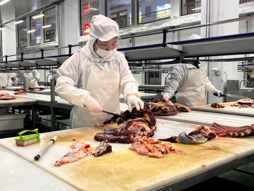 三抓三促行动进行时四季都有牦牛肉龙头企业开足马力助力甘南牦牛产业