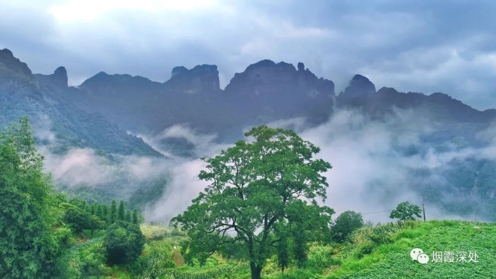 盘点仙居大地上的那些柱峰