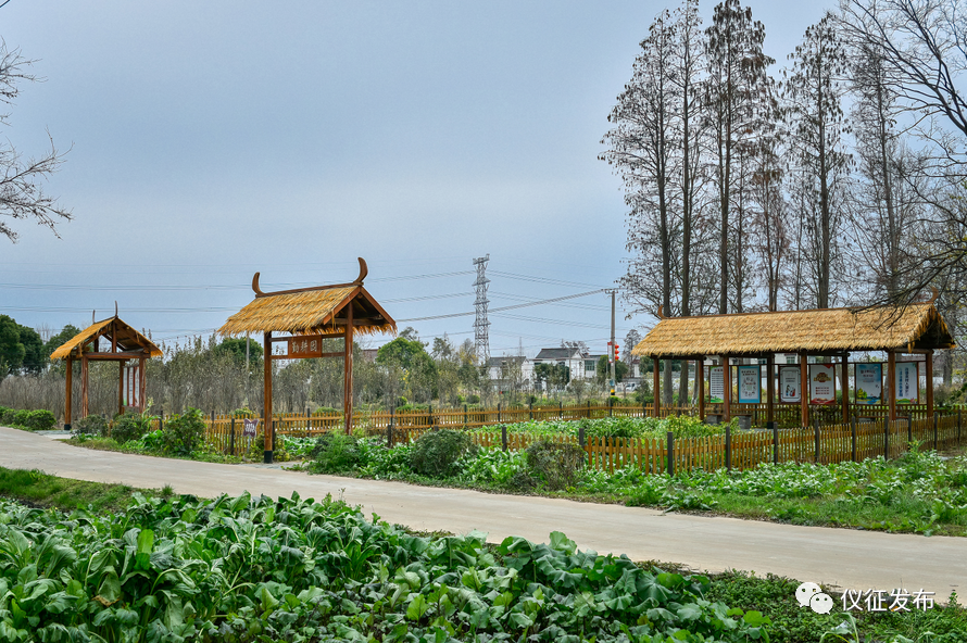名城美景|仪征61大仪镇高田村_腾讯新闻