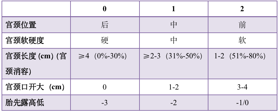 Bishop评分图片