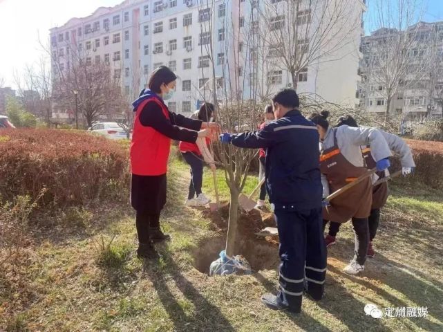 趁着春光多种树，党员干部、乡贤纷纷捐树，为家乡添绿！_腾讯新闻