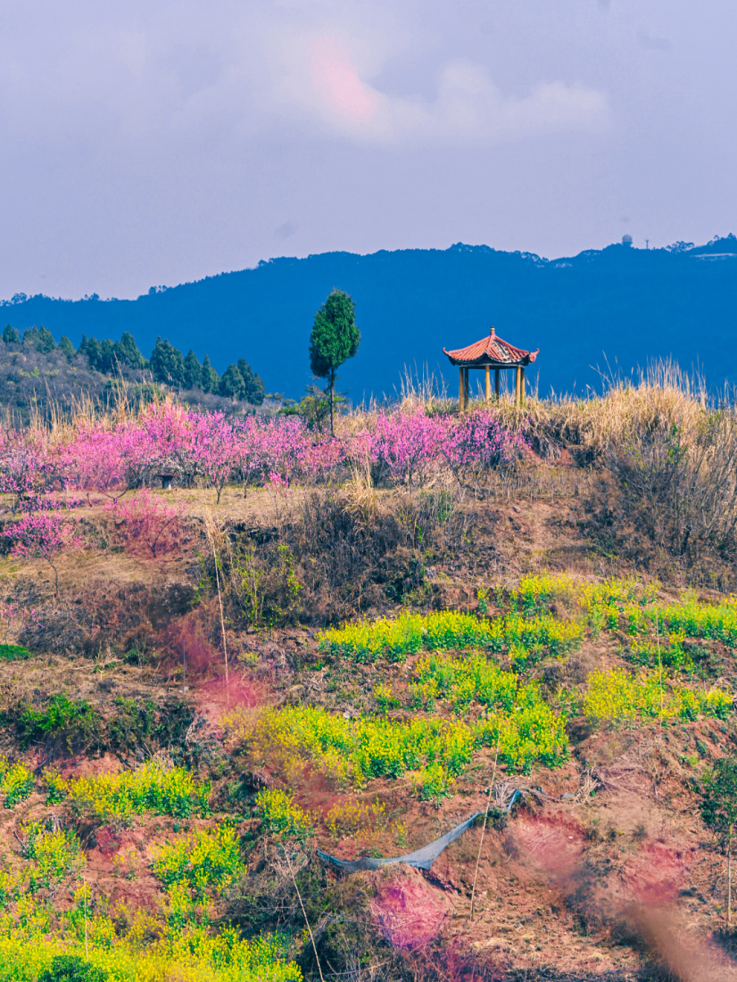 永州德辉景区桃花节3月16日开幕