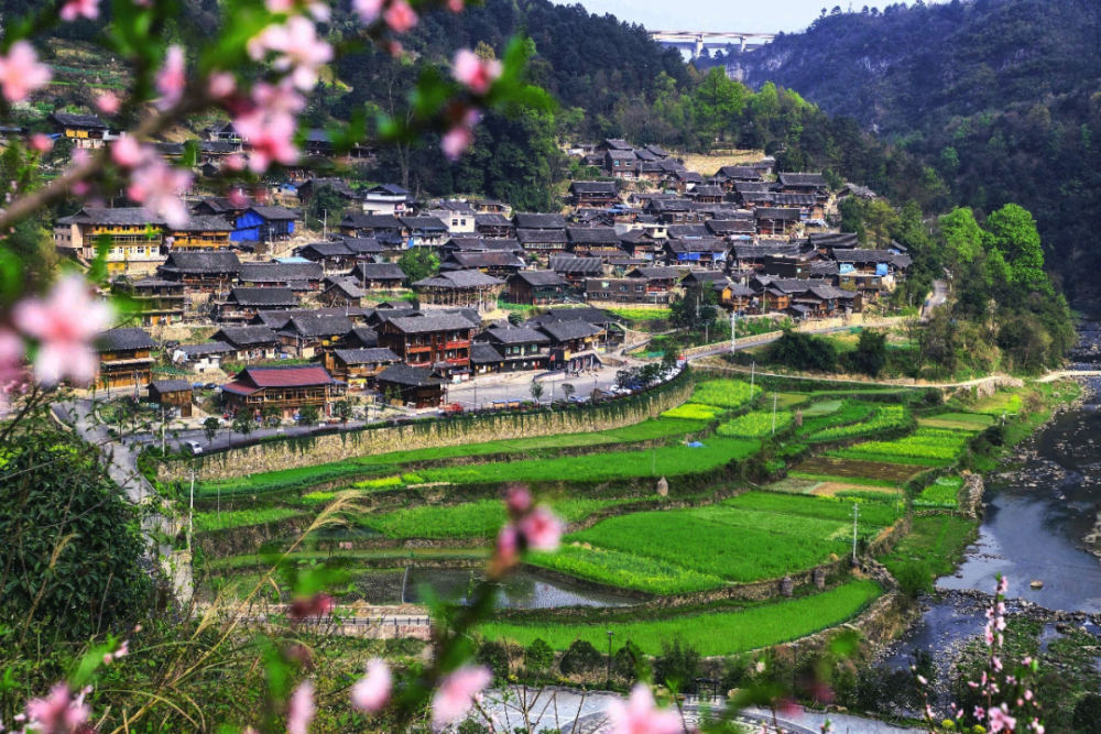 乡游黔中·丹寨县 清江村|春日出游,苗寨春色正当时_腾讯新闻