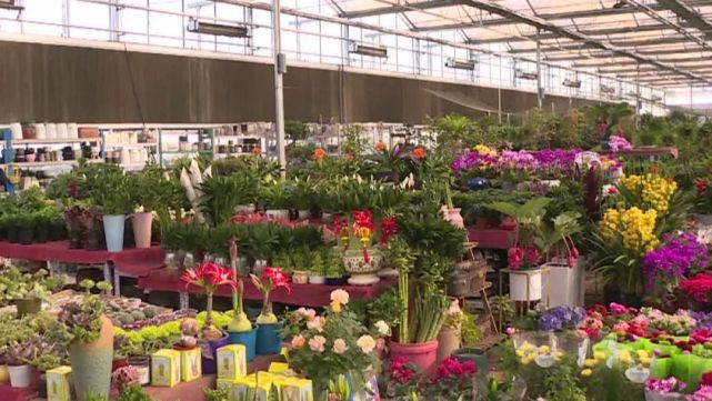 这么近 那么美 周末到河北丨唐山迁安亚滦湾农业公园:科技创新迎发展