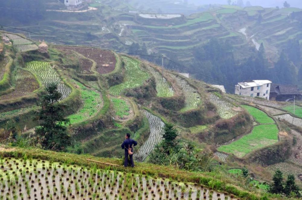 贵州大山藏着一个不太为人知的村庄，安静古朴风景秀丽，宛如世外桃源黑椒鸡柳饭图片2023已更新(哔哩哔哩/今日)