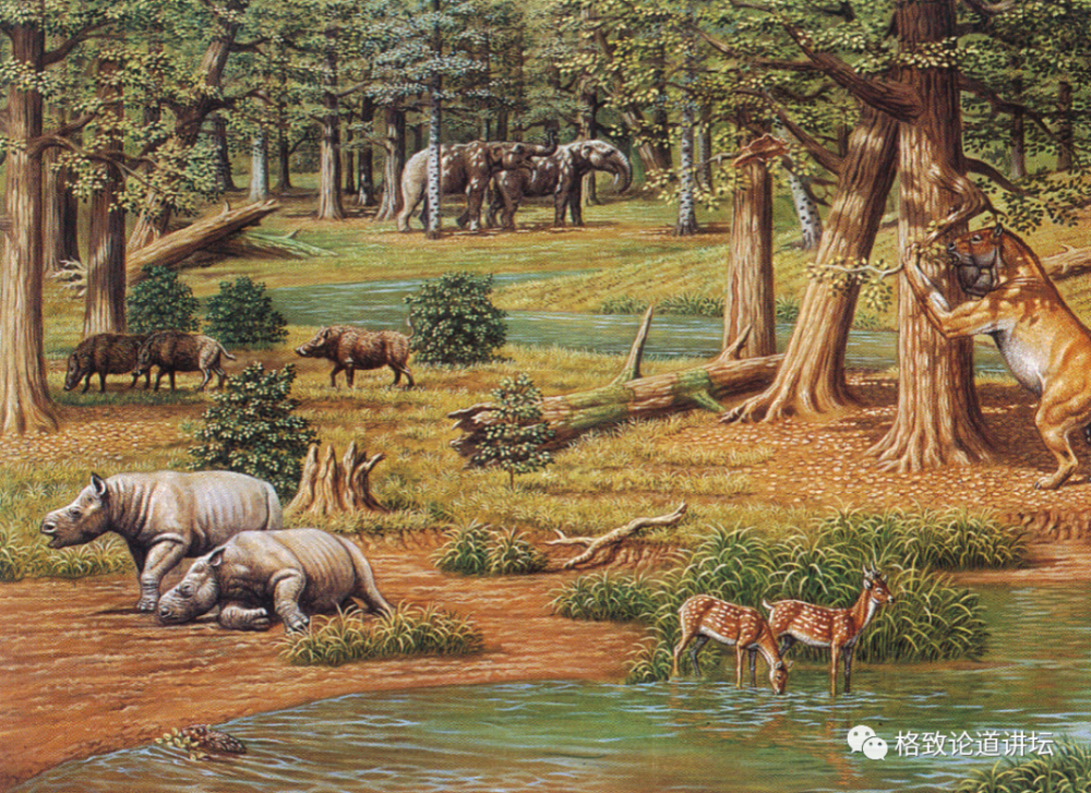 这种大象的下巴带着一个大铲子大家最好奇的是它究竟要怎么吃饭呢王世