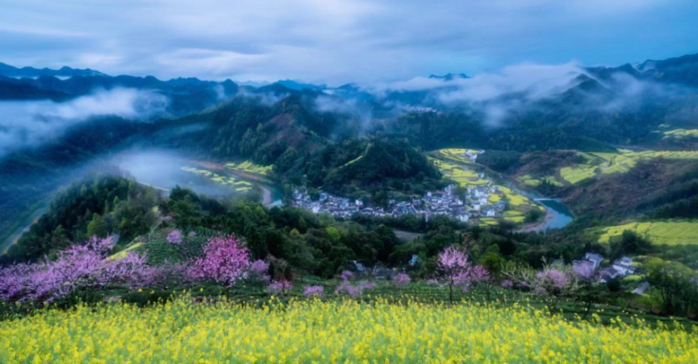 徽州油菜花图片