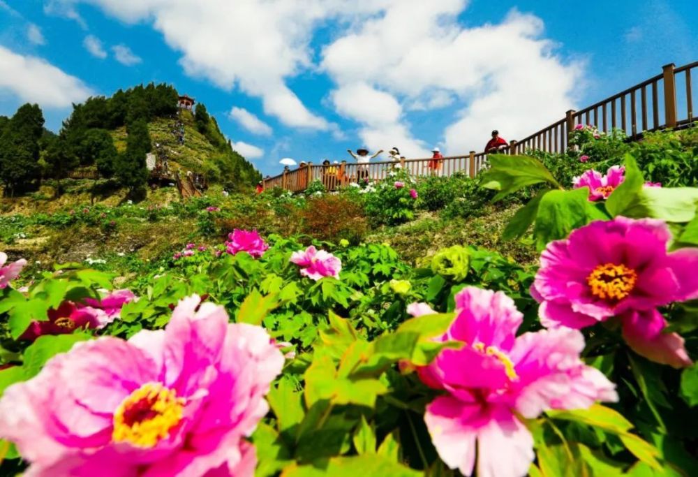 垫江恺之峰旅游区3月18日开园迎客!好多新玩意儿_腾讯新闻