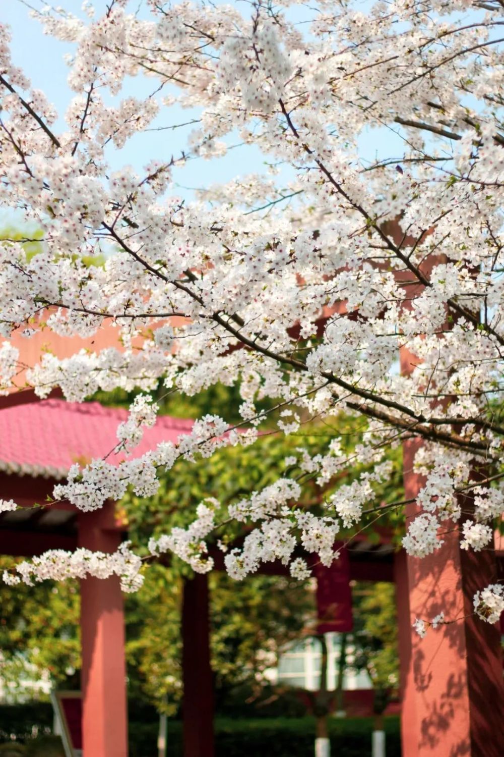 深度揭秘（四川水利职业技术学院）四川水利职业技术学院招生办 第3张