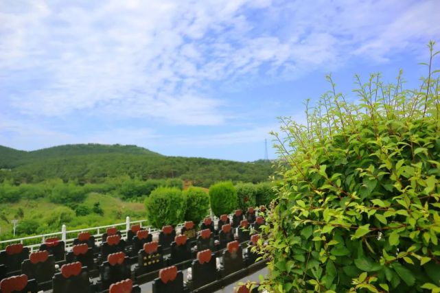 在龙凤山墓园举目远眺,闻名中