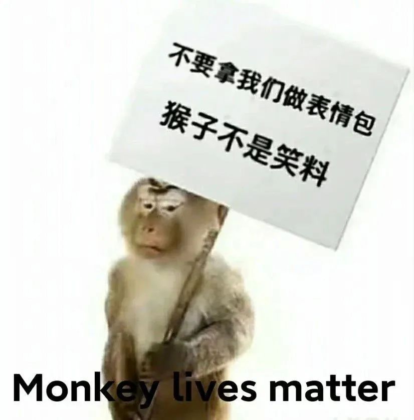 猴子是怎么突然成为中文互联网热门生物的?_腾讯新闻