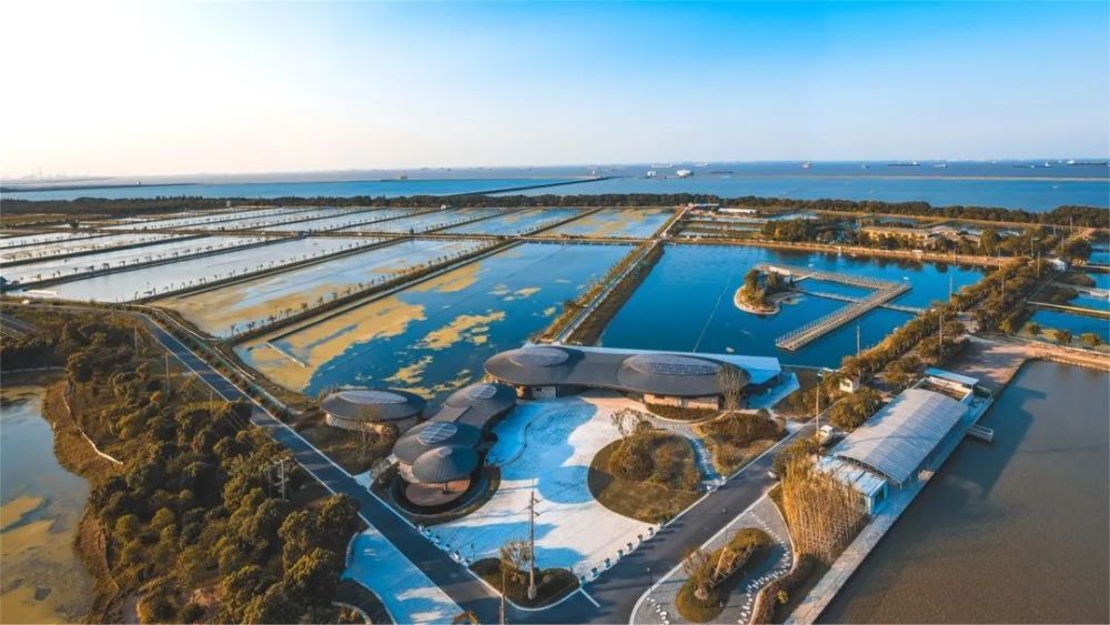 在好风景的地方兴起新经济宝山区罗泾镇积极融入北转型发展大局