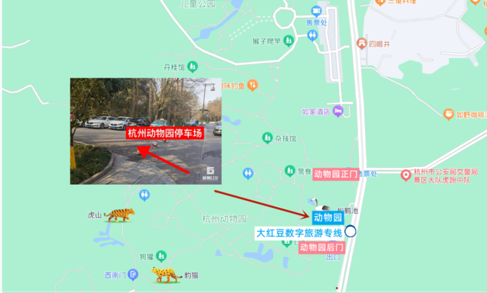 杭州新双层巴士线路图片