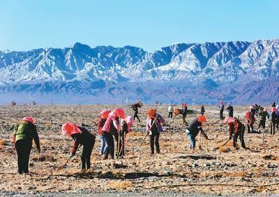 十四五期間中國將建設國家儲備林3600萬畝以上