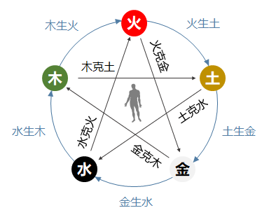 助脾运化;土生金,故脾生肺,如脾气运化,化气以充肺;金生水