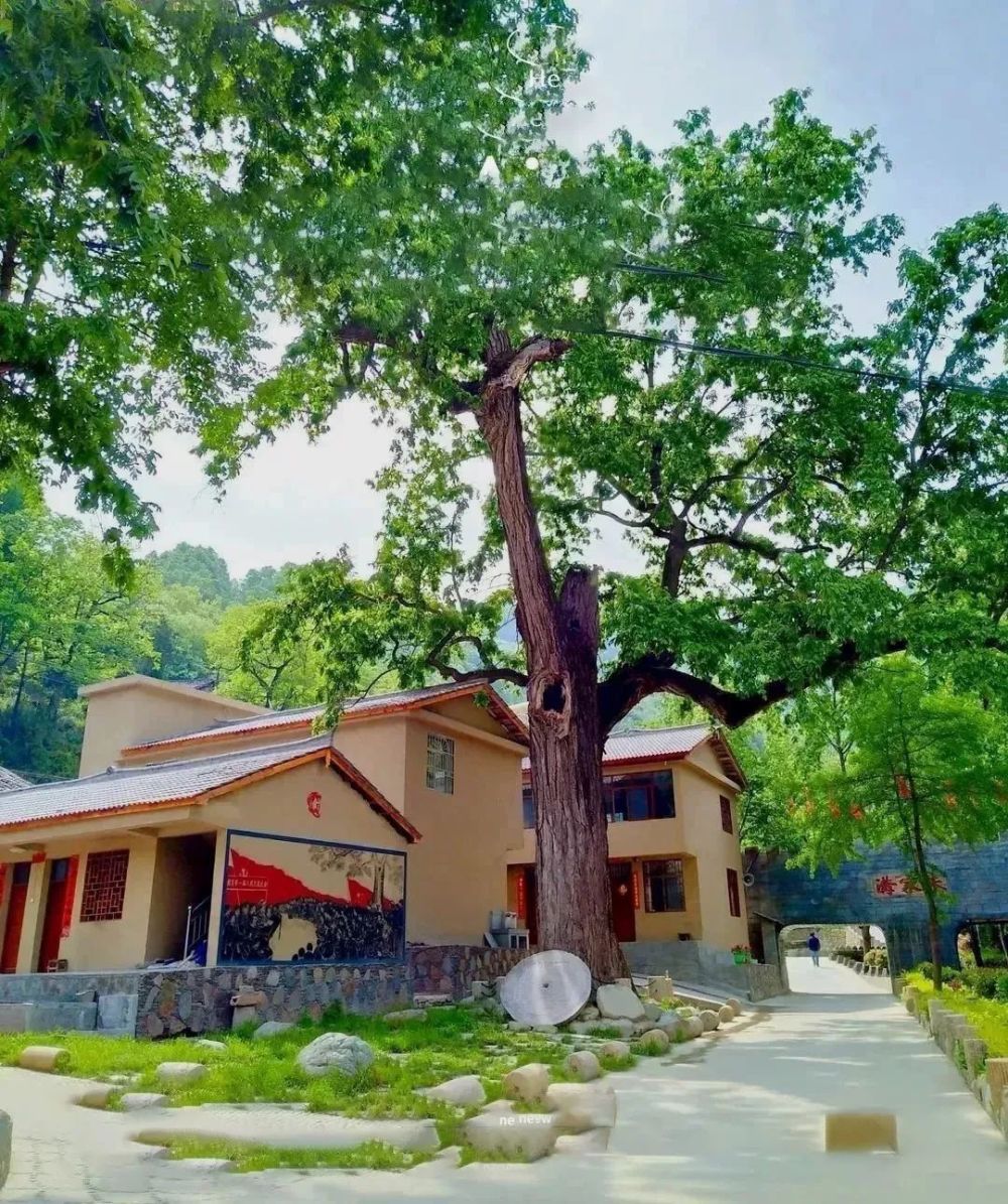 去康县朱家沟吧与春天撞个满怀