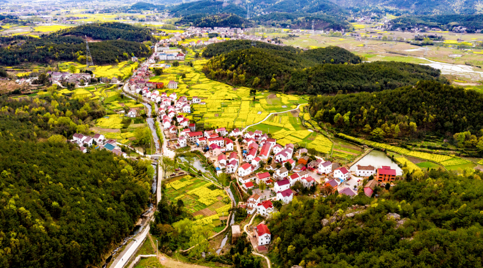 白梅开展2023枞阳县第二届油菜花文化旅游节白梅乡村游活动是坚持生态