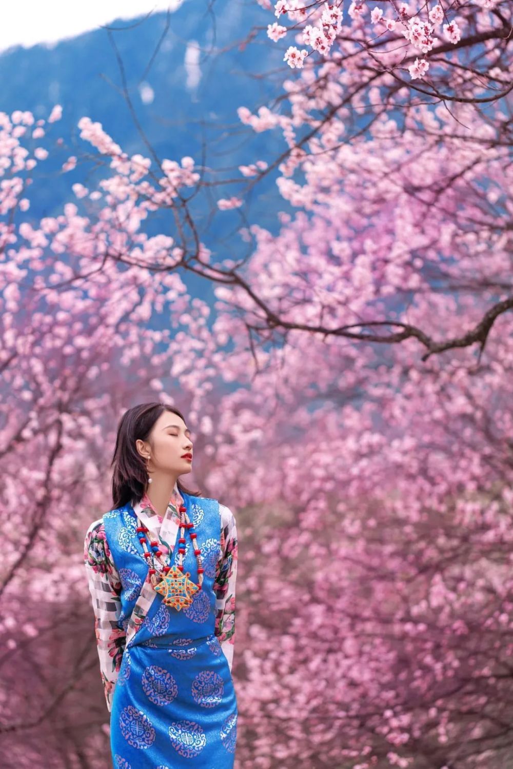 快来为你心仪的桃花仙子投票助力