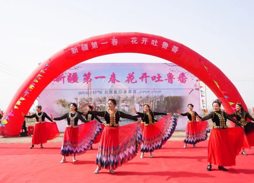 吐鲁番杏花这么美,最全玩法上线!_腾讯新闻