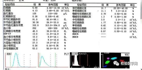 深度揭秘（整蛊怀孕报告单）整蛊怀孕报告单怎么写 第2张