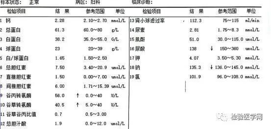 深度揭秘（整蛊怀孕报告单）整蛊怀孕报告单怎么写 第4张