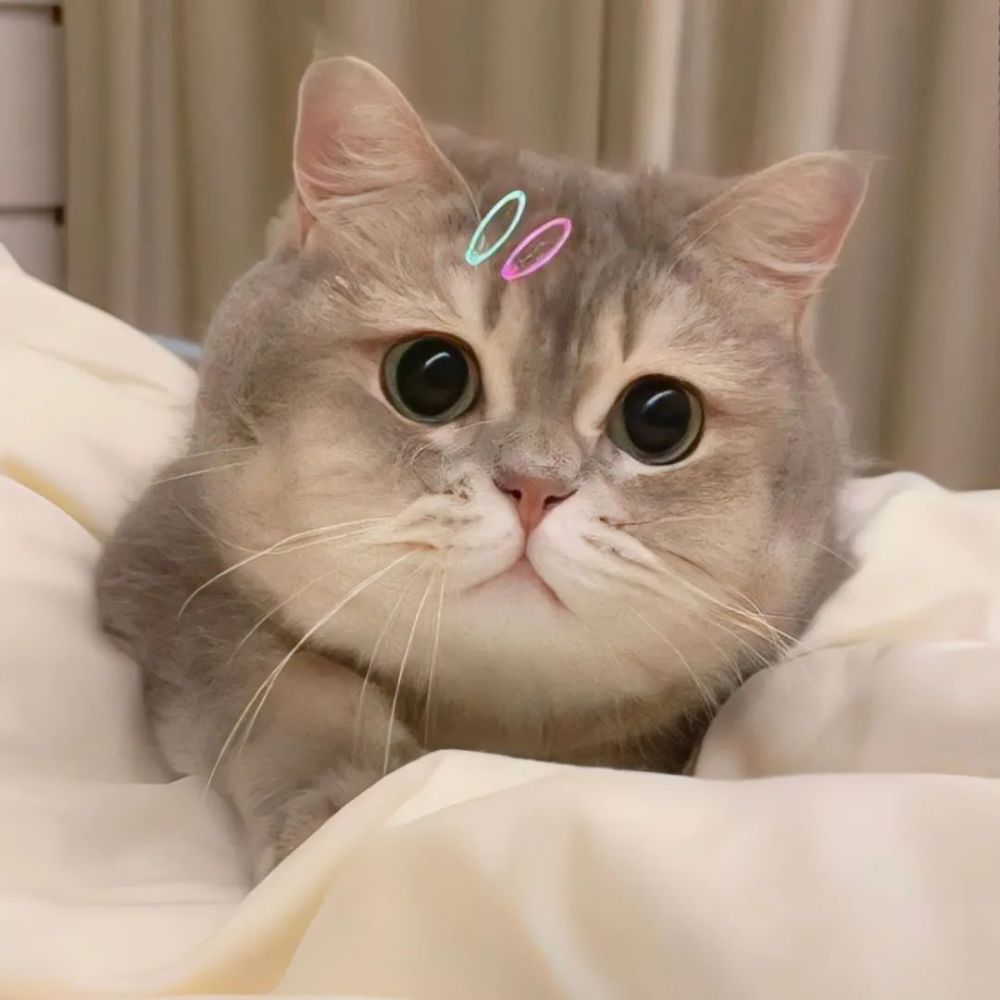 头像|治愈系头像_腾讯新闻