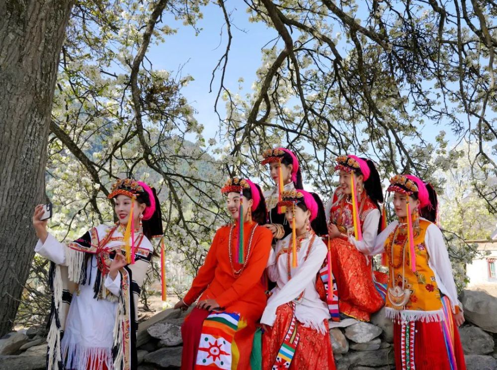 356.2万次关注!美"梨"show出来!刚刚,美人谷丹巴梨花节开幕啦!_腾讯新