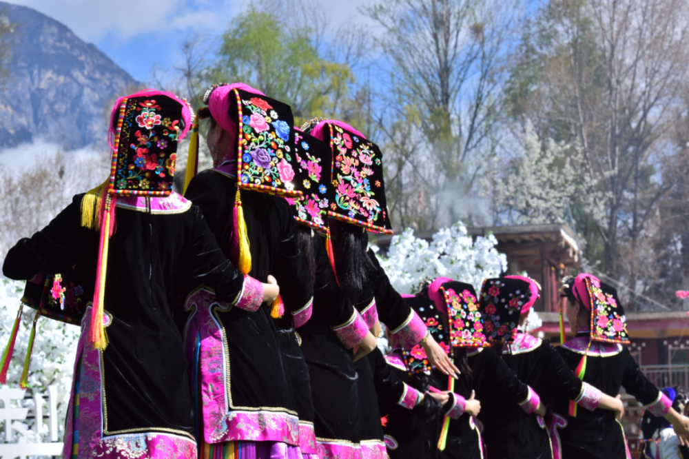 356.2万次关注!美"梨"show出来!刚刚,美人谷丹巴梨花节开幕啦!_腾讯新