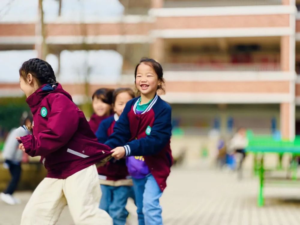 江山市江東科技幼兒園衢江區杜澤鎮中心小學衢江區東港小學衢江區第二