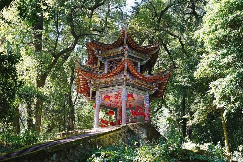 楚雄武定狮子山给你春游新体验_腾讯新闻