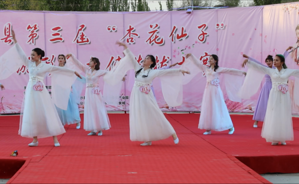 花开正好本周六英吉沙县杏花节邀您来赏