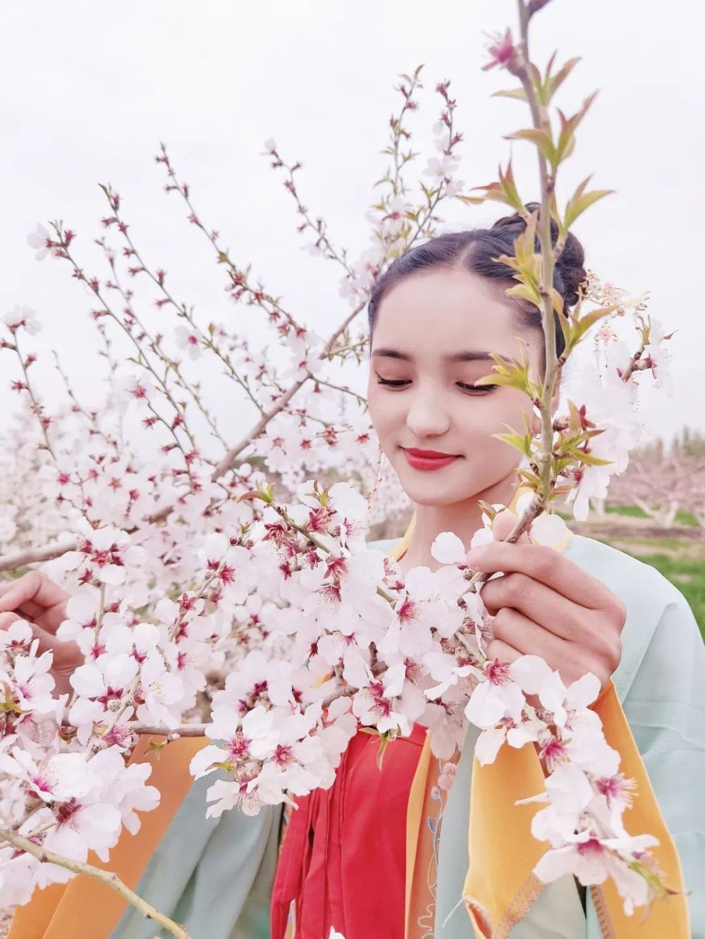 花开正好本周六英吉沙县杏花节邀您来赏