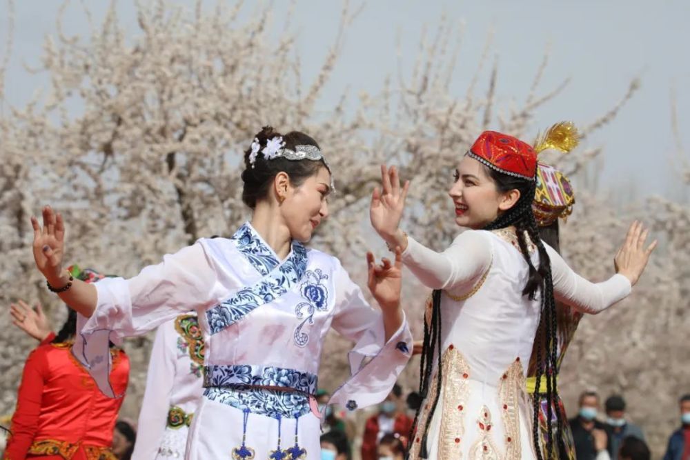 花开正好本周六英吉沙县杏花节邀您来赏