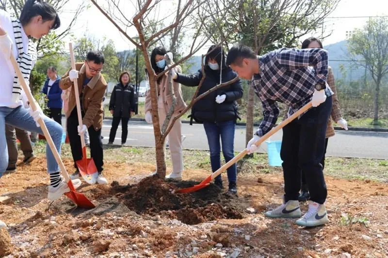 植树添新绿，不负好春光！贵州高速集团开展2023年义务植树活动 腾讯新闻