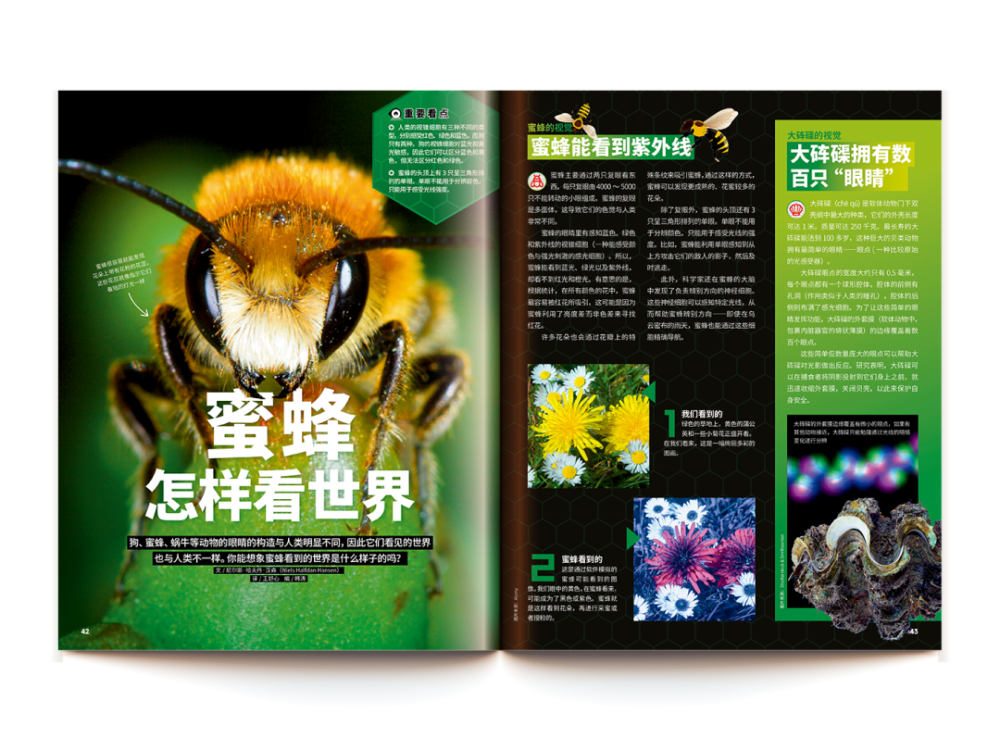 蜜蜂眼中的世界是什么样的?为什么工业革命起源于英国?