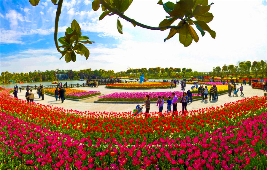 上海鲜花港几月份去(上海鲜花港什么时候去最好)