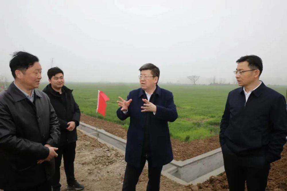 任泽锋：提升粮食生产保障能力 坚决守住粮食安全底线_腾讯新闻