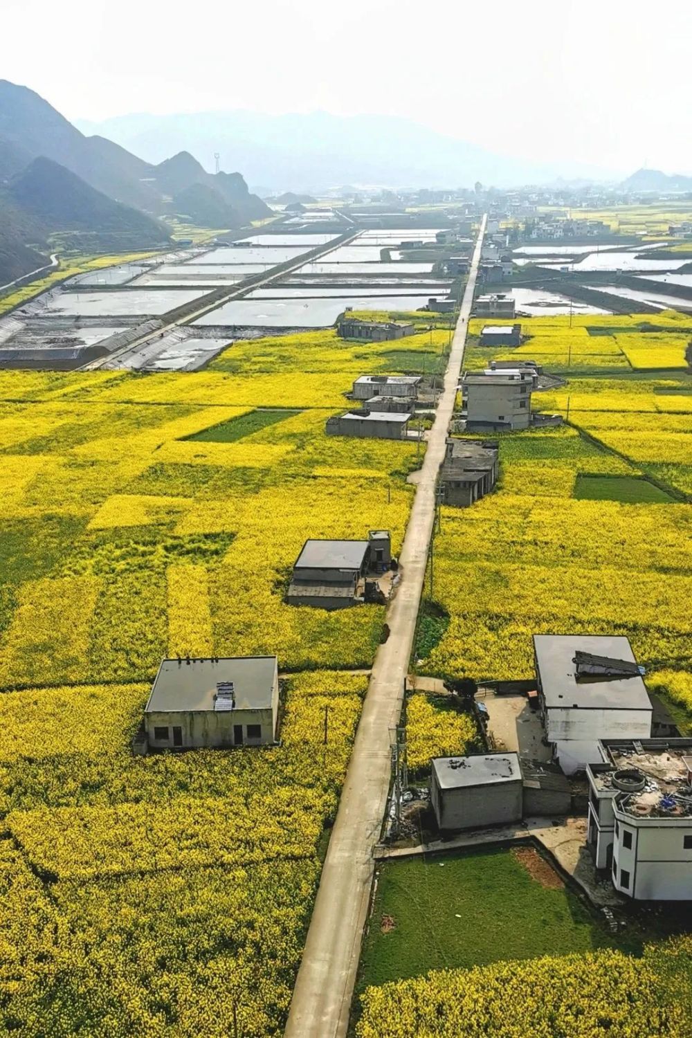 幸福凉都61花漾中国寻觅诗与远方邀您邂逅一场春日浪漫