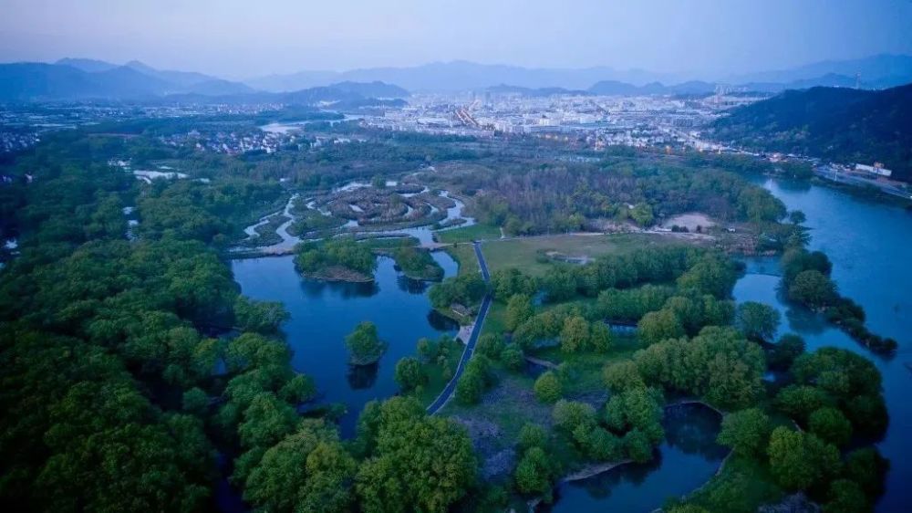 丽水九龙国家湿地公园今年暂停萤火虫观赏