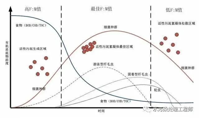 详解活性污泥的食微比fm