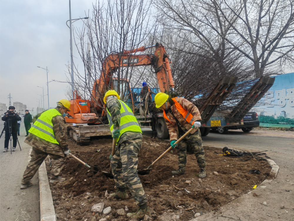 這條道路為東西向的城市主幹路,道路起點為建工街,終點為南崗街,道路